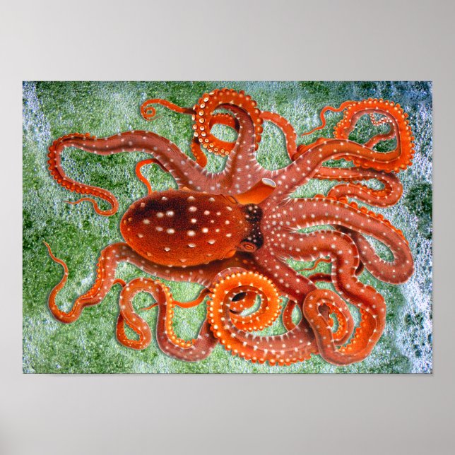 Octopus Ocean Vintage Poster (Vorne)