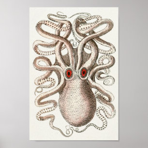 Octopus Rotes Auge Cephalopod Sea Kreaturen Art Dr Poster