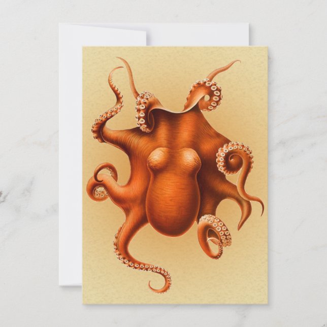 Octopus Sea Monster Kreatur Cephalapod Vintag Einladung (Vorderseite)