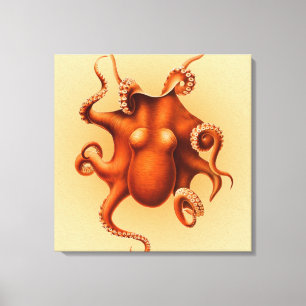 Octopus Sea Monster Kreatur Cephalapod Vintag Leinwanddruck