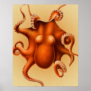 Octopus Sea Monster Kreatur Cephalapod Vintag Poster