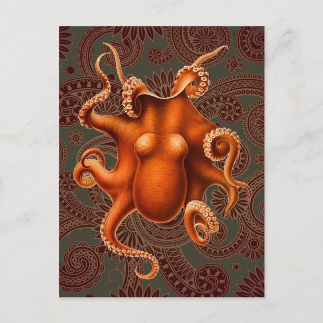 Octopus Sea Monster Kreatur Cephalapod Vintag Postkarte (Vorderseite)