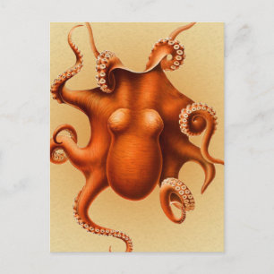 Octopus Sea Monster Kreatur Cephalapod Vintag Postkarte