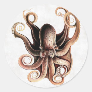 Octopus-Sticker Runder Aufkleber