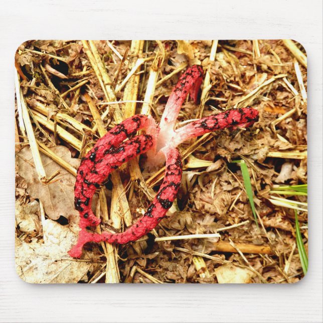 Octopus Stinkhorn Mouse Mat Mousepad (Vorne)
