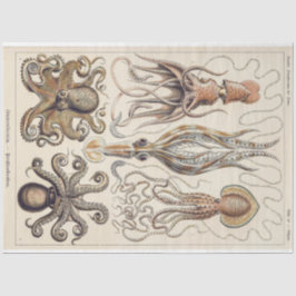 Octopus Tintenfisch Gamochonia Decoupage Tissue Pa Seidenpapier
