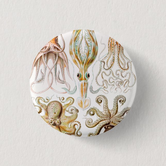 Octopus-Tintenfisch, Gamochonia, von Ernst Haeckel Button (Vorderseite)