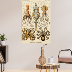 Octopus-Tintenfisch Gamochonia von Ernst Haeckel Poster