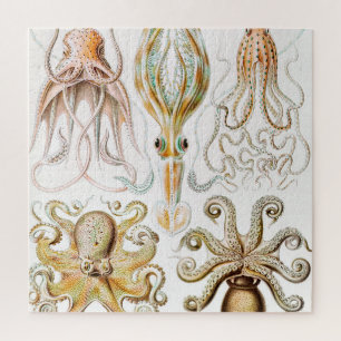 Octopus-Tintenfisch, Gamochonia von Ernst Haeckel Puzzle