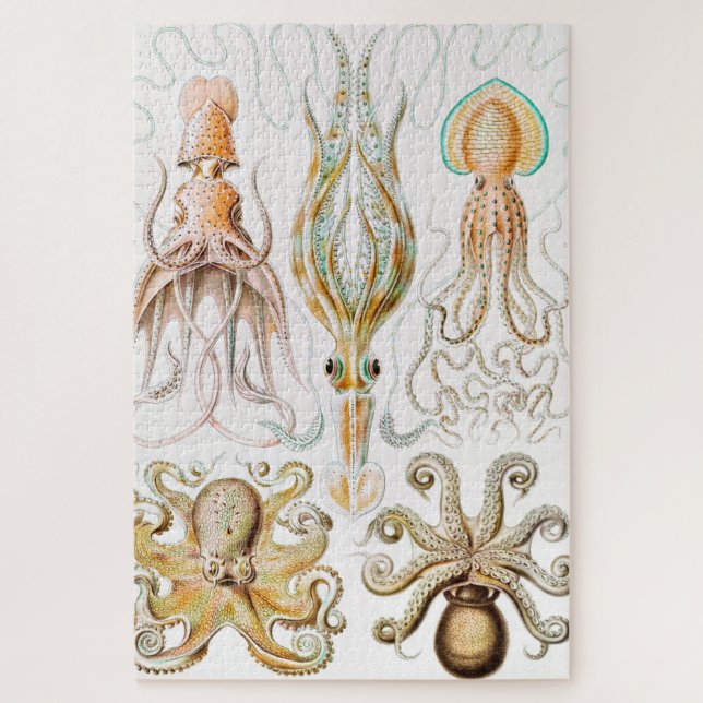 Octopus-Tintenfisch, Gamochonia von Ernst Haeckel Puzzle (Vertikal)