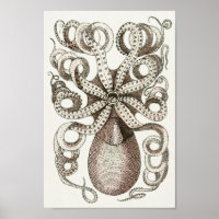 Octopus Vintag Cephalopod Sea Kreaturen Art Print