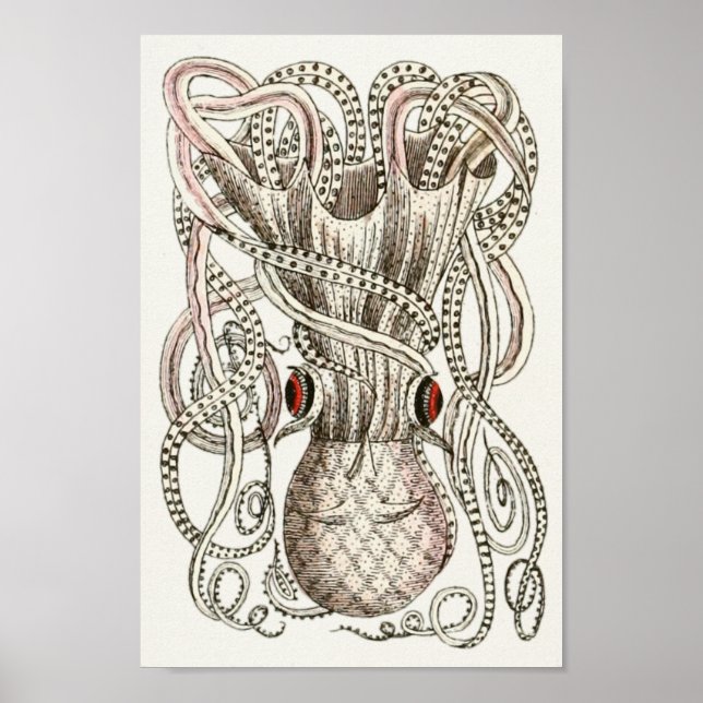Octopus Vintag Cephalopod Sea Kreaturen Art Print Poster (Vorne)