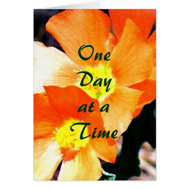 ODAT "Just a Weed" (Vorne)