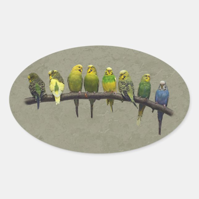 Odd One Out Aufkleber (Vorderseite)