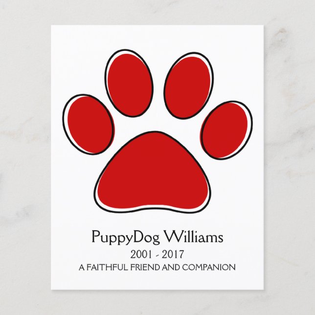 oddRex-Pfow-Speicherkarte zum Verlust eines Beglei (Vorderseite)