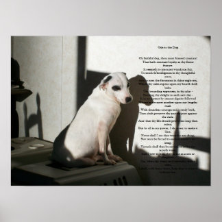 Ode zum Hund Poster