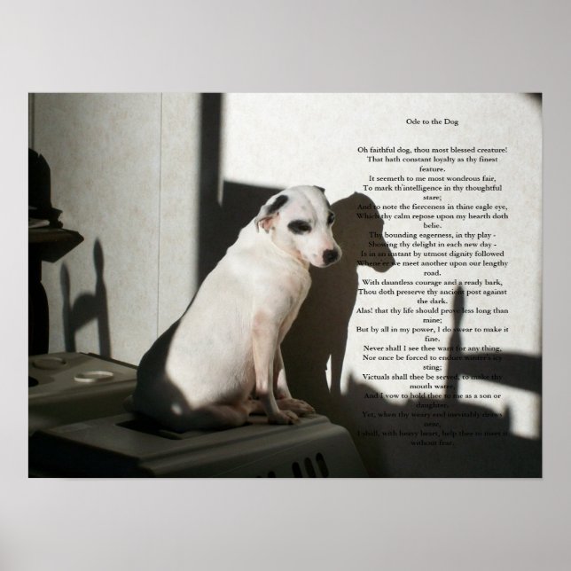 Ode zum Hund Poster (Vorne)