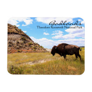 Ödländer von North- Dakotamagneten Magnet