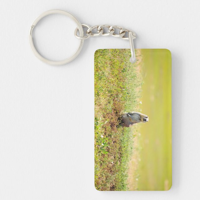 Ödländer von North- DakotaSchlüsselanhänger Schlüsselanhänger (Vorderseite)