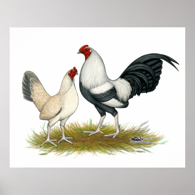 OE Game Blue Silver Wheaten Poster (Vorne)