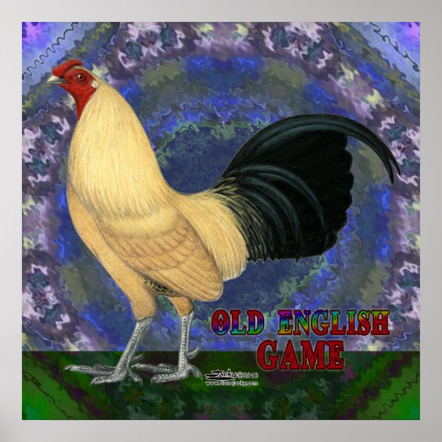 OEG Bantam Cream Buttercup Poster (Vorne)