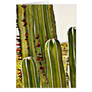 Ofen-Rohr in der Blüte