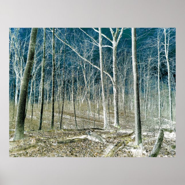 Off the Path version 1 Poster (Vorne)