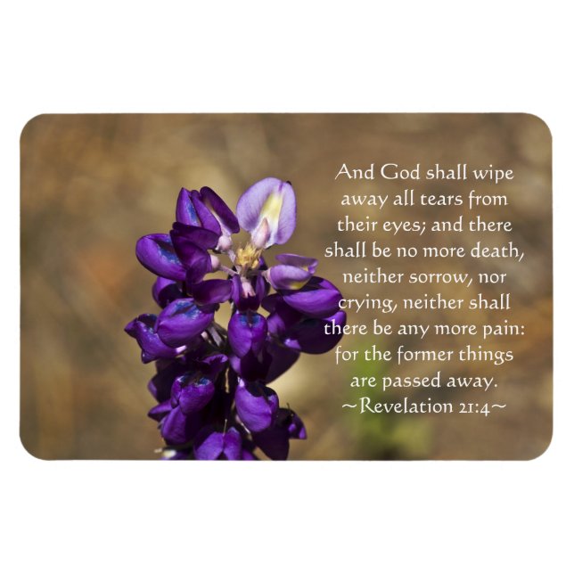 Offenbarung 21:4 magnet (Horizontal)