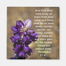 Offenbarung 21:4