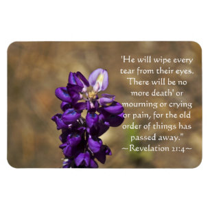 Offenbarung 21:4 magnet