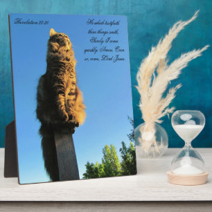 Offenbarung 22:20 Katze Gewartet für Jesus Fotoplatte
