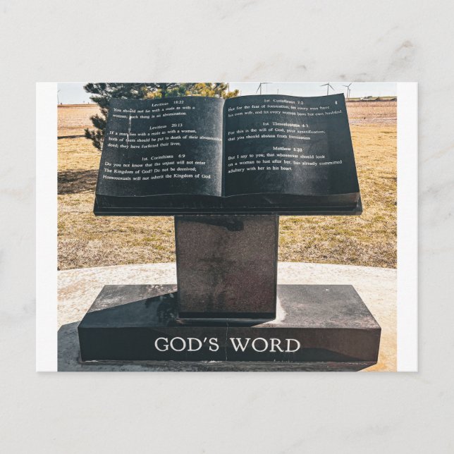 Offene Buchskulptur Postkarte (Vorderseite)