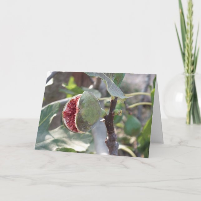 Offener Feigenbaum in Spanien Feiertagskarte (Vorderseite)