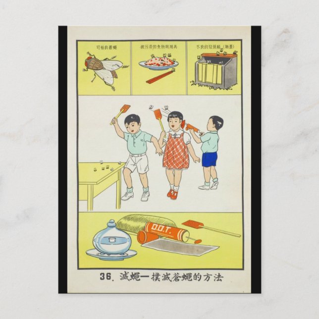 Öffentliche Gesundheit, Kampffliegen, Taiwan 1959 Postkarte (Vorderseite)