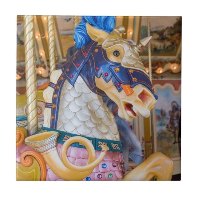 Öffentliches Museum für große Rapiden Fliese (Vorderseite)