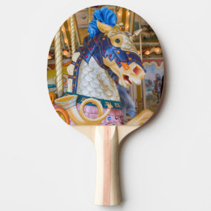 Öffentliches Museum von Grand Rapids Tischtennis Schläger