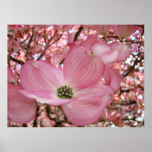 OFFICE ART Rosa Dogwood Tree 1 Gerahmte Kunstdruck Poster