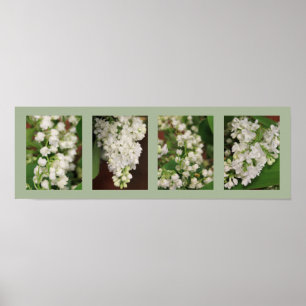 Office-Blume Poster