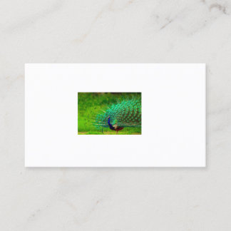 Office & School > Visitenkarten Visitenkarte