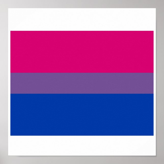 OFFIZIELLE BISEXUELLE PRIDE-FLAGGE POSTER (Vorne)