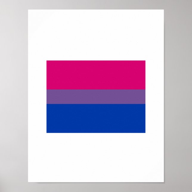 OFFIZIELLE BISEXUELLE PRIDE-FLAGGE POSTER (Vorne)