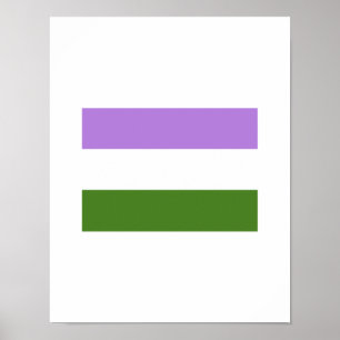 OFFIZIELLE GENDERQUEER STOLZ-FLAGGE POSTER