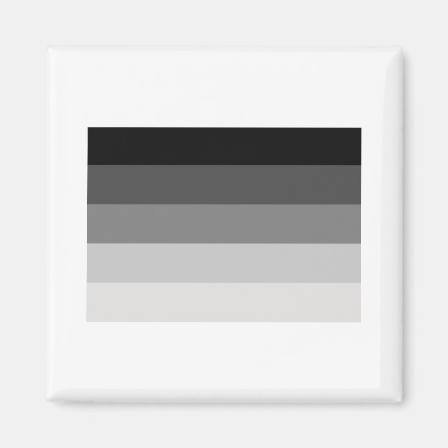 OFFIZIELLE STRAIGHT PRIDE FLAG MAGNET (Vorne)