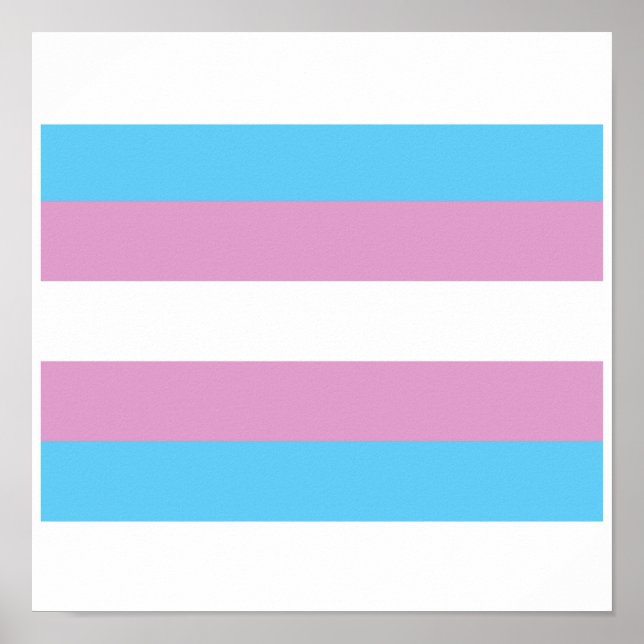 OFFIZIELLE TRANSGENDER-STOLZFALTE POSTER (Vorne)