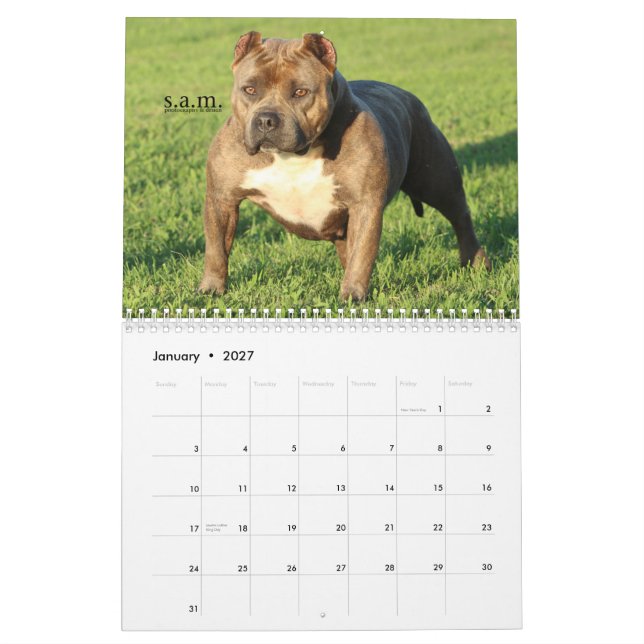 Offizieller FELSEN-STADT-HUNDEHÜTTEN Kalender (Jan 2027)