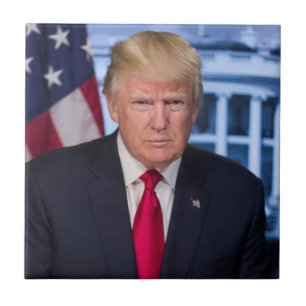 Offizielles präsidentielles Porträt von Donald Tru Fliese