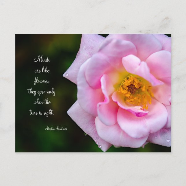 Öffne deinen Geist wie eine Blume Postkarte (Vorderseite)