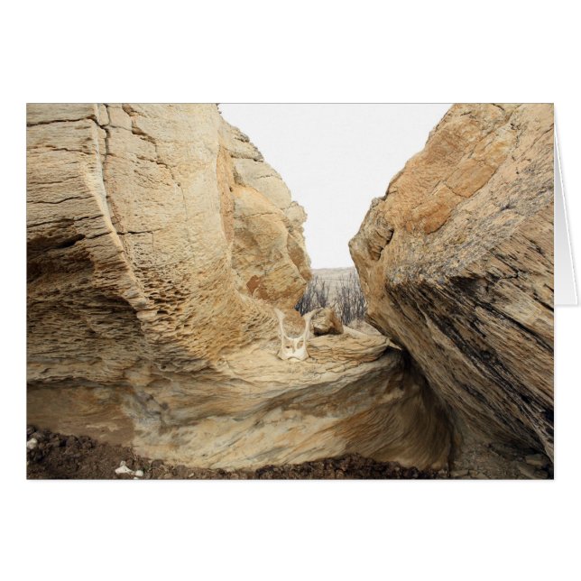 öffnen (Vorderseite (Horizontal))