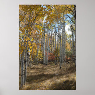 Öffnen Sie Holz Poster