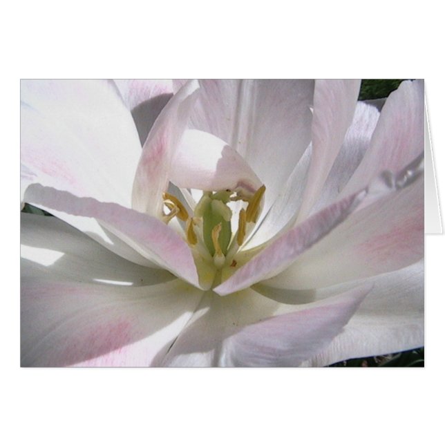 öffnen Sie Ihren Verstand (Vorderseite (Horizontal))